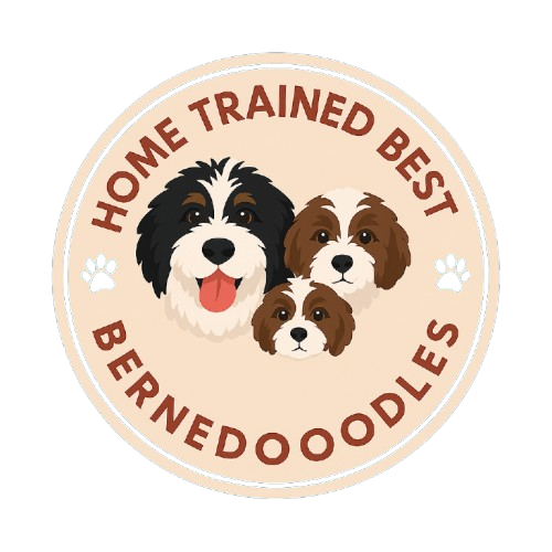 Home Trained Best Bernedoodles Logo