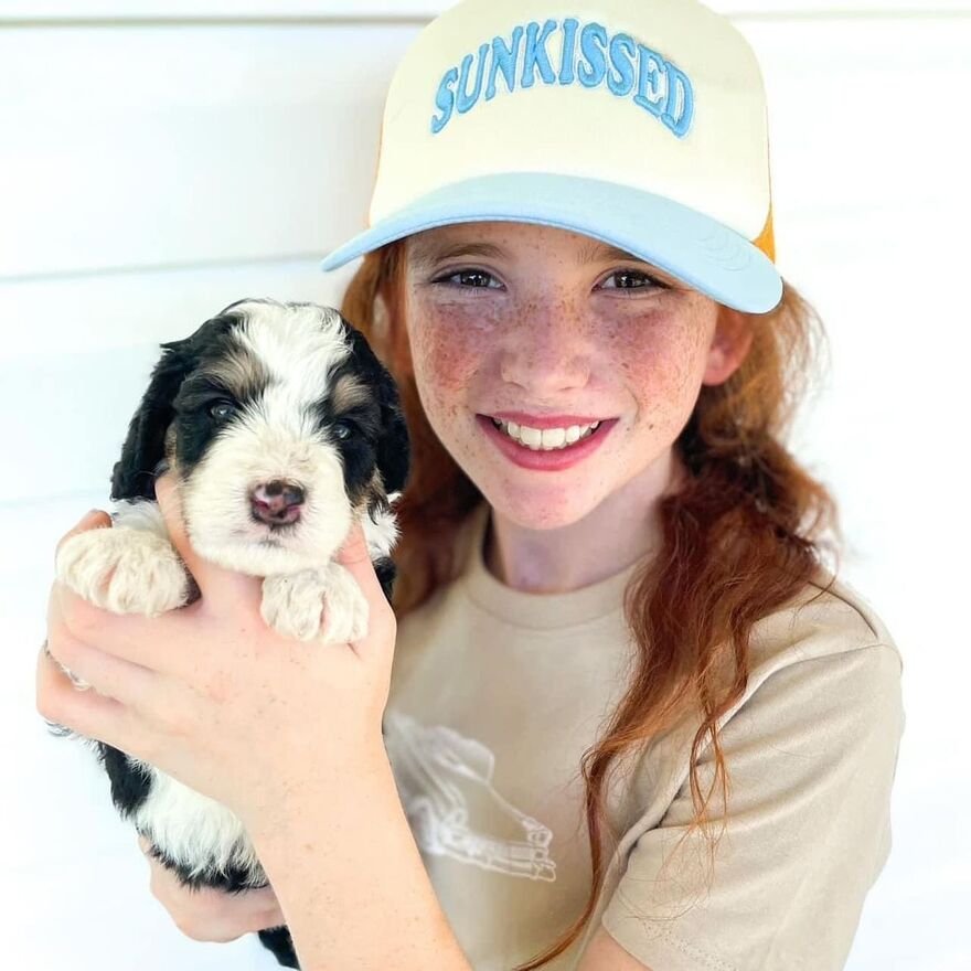 Bernedoodle puppy meeting new people in a controlled environment