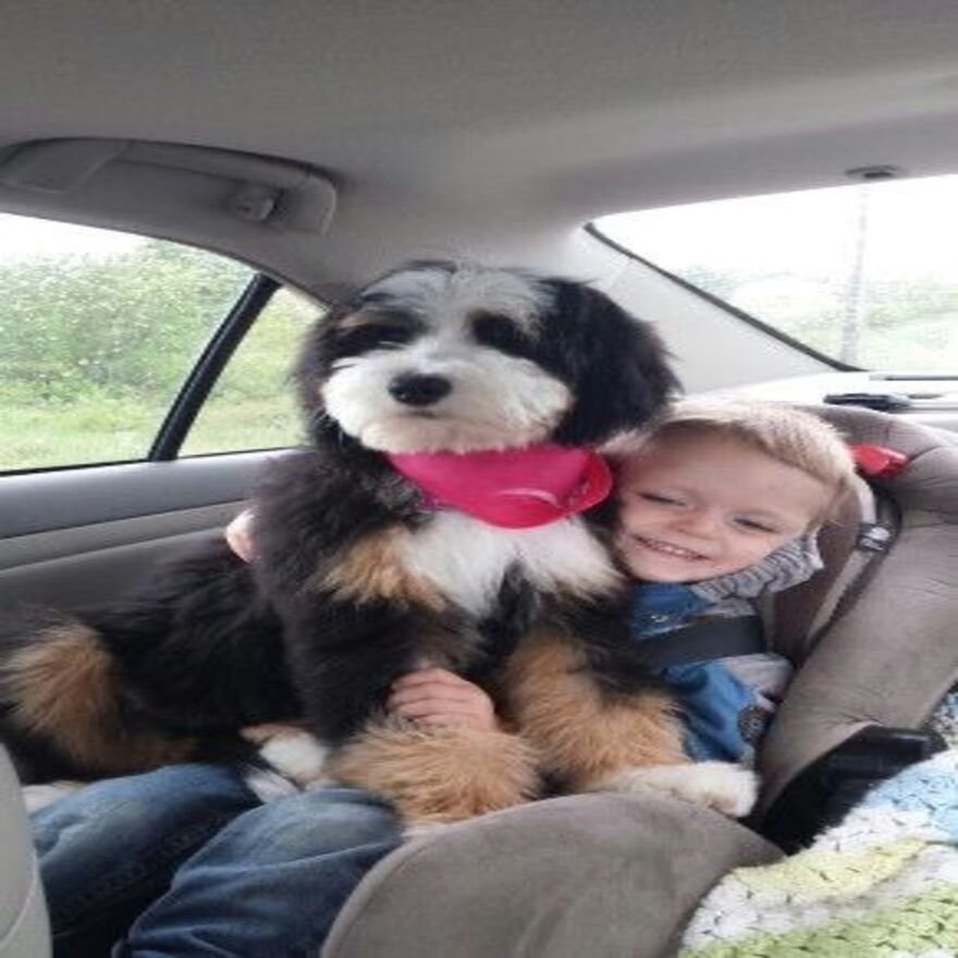 Happy family with puppy