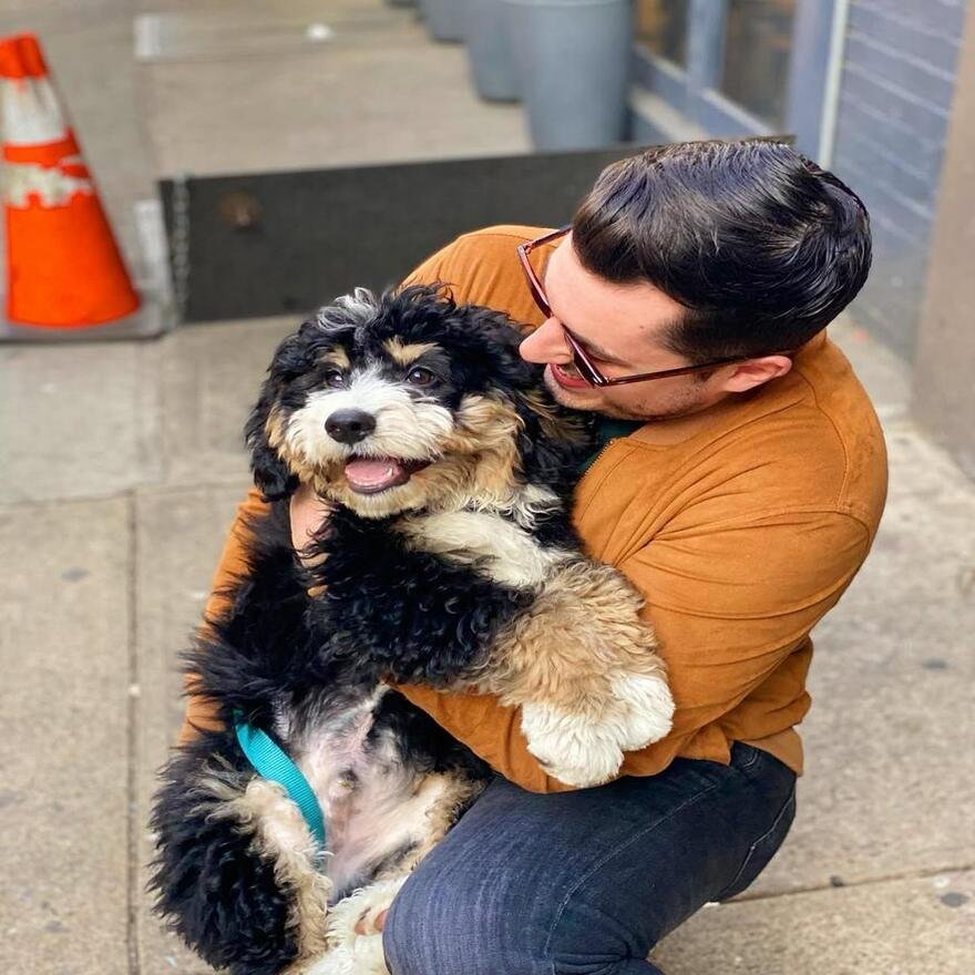 Happy family with puppy