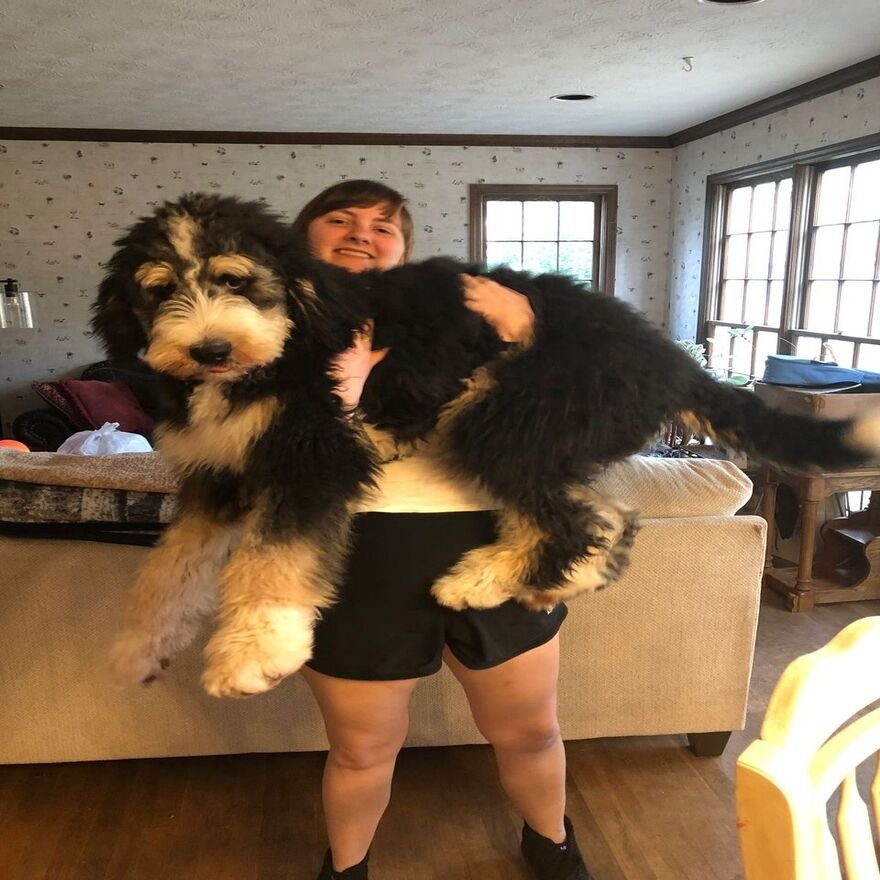 Happy family with puppy